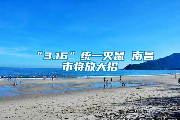 “3.16”統(tǒng)一滅鼠 南昌市將放大招