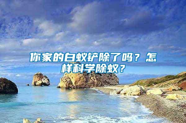 你家的白蟻鏟除了嗎？怎樣科學(xué)除蟻？