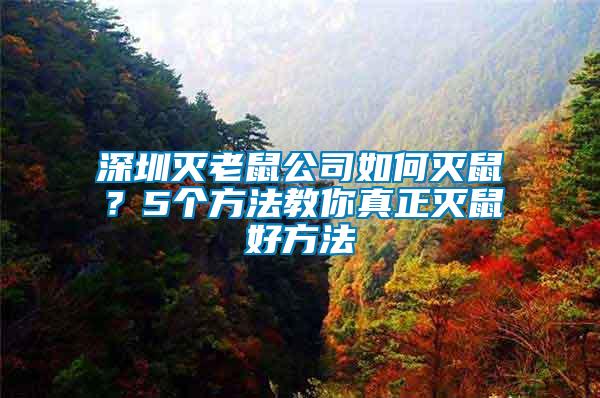 深圳滅老鼠公司如何滅鼠？5個(gè)方法教你真正滅鼠好方法