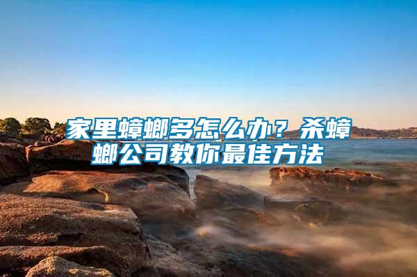 家里蟑螂多怎么辦？殺蟑螂公司教你最佳方法