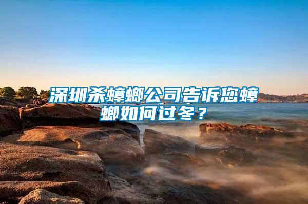 深圳殺蟑螂公司告訴您蟑螂如何過(guò)冬？