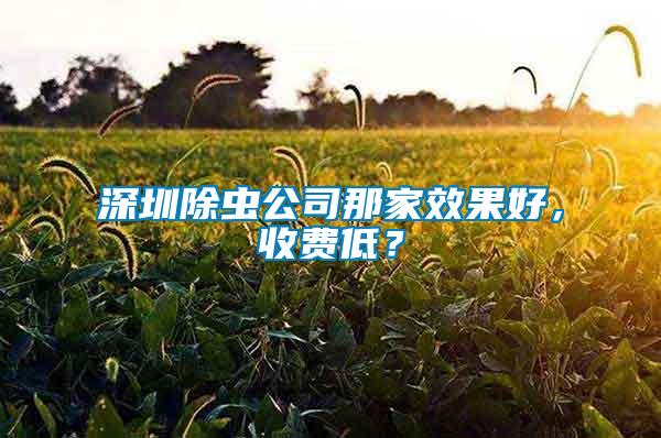 深圳除蟲(chóng)公司那家效果好，收費(fèi)低？