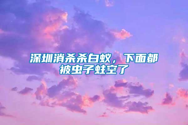 深圳消殺殺白蟻，下面都被蟲子蛀空了