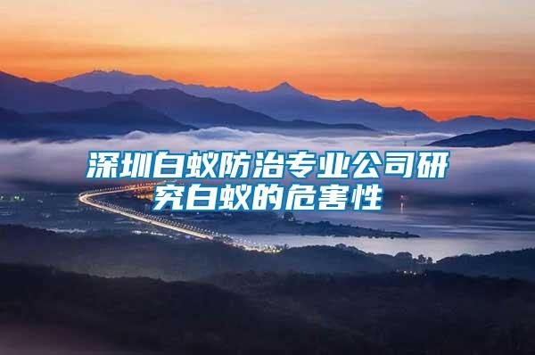 深圳白蟻防治專業(yè)公司研究白蟻的危害性