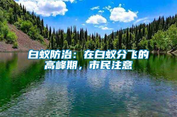 白蟻防治：在白蟻分飛的高峰期，市民注意