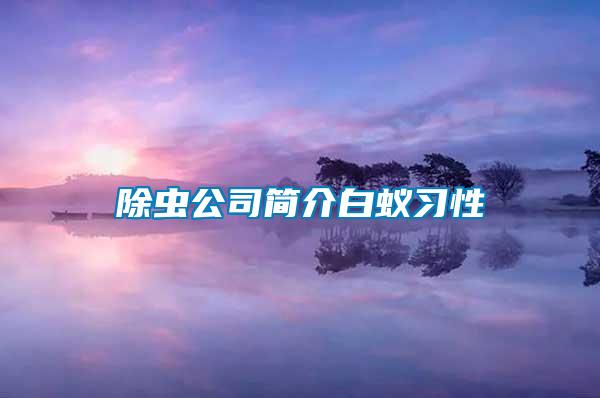 除蟲公司簡介白蟻習性