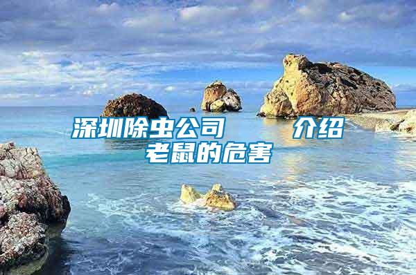 深圳除蟲(chóng)公司    介紹老鼠的危害