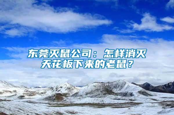 東莞滅鼠公司：怎樣消滅天花板下來(lái)的老鼠？