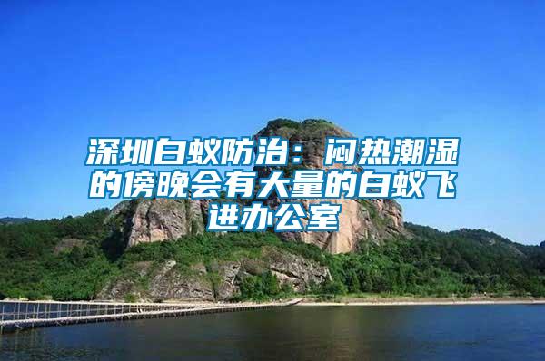 深圳白蟻防治：悶熱潮濕的傍晚會有大量的白蟻飛進辦公室