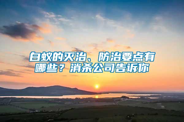 白蟻的滅治、防治要點(diǎn)有哪些？消殺公司告訴你