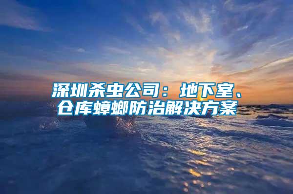 深圳殺蟲(chóng)公司：地下室、倉(cāng)庫(kù)蟑螂防治解決方案