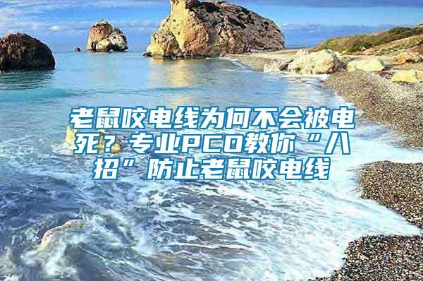 老鼠咬電線為何不會(huì)被電死？專業(yè)PCO教你“八招”防止老鼠咬電線