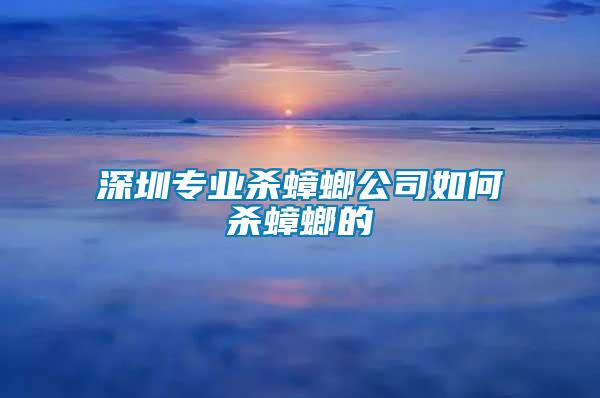 深圳專業(yè)殺蟑螂公司如何殺蟑螂的