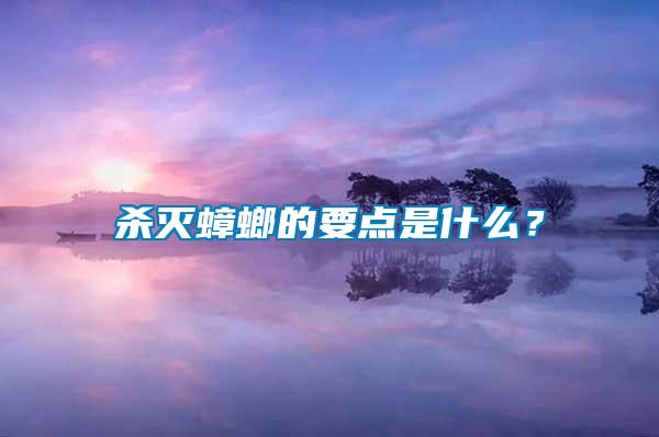 殺滅蟑螂的要點(diǎn)是什么？