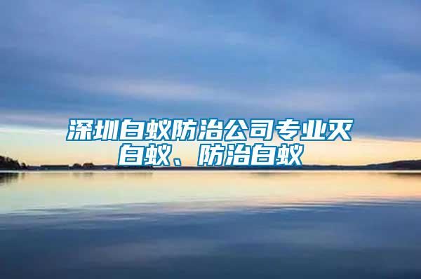 深圳白蟻防治公司專業(yè)滅白蟻、防治白蟻