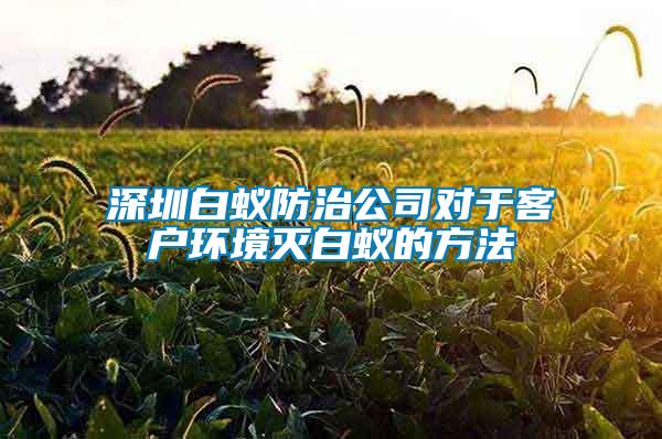 深圳白蟻防治公司對(duì)于客戶環(huán)境滅白蟻的方法