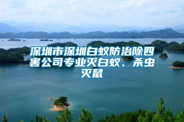 深圳市深圳白蟻防治除四害公司專業(yè)滅白蟻、殺蟲滅鼠