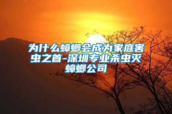 為什么蟑螂會(huì)成為家庭害蟲(chóng)之首-深圳專(zhuān)業(yè)殺蟲(chóng)滅蟑螂公司