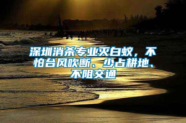 深圳消殺專業(yè)滅白蟻，不怕臺(tái)風(fēng)吹斷、少占耕地、不阻交通