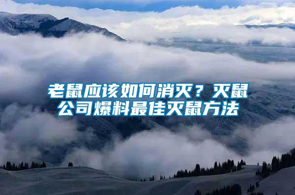 老鼠應(yīng)該如何消滅？滅鼠公司爆料最佳滅鼠方法