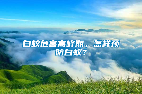 白蟻危害高峰期，怎樣預(yù)防白蟻？