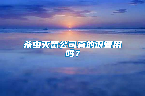 殺蟲滅鼠公司真的很管用嗎？