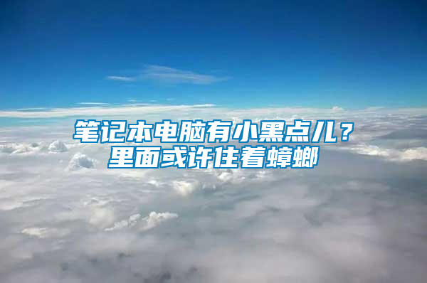 筆記本電腦有小黑點兒？里面或許住著蟑螂