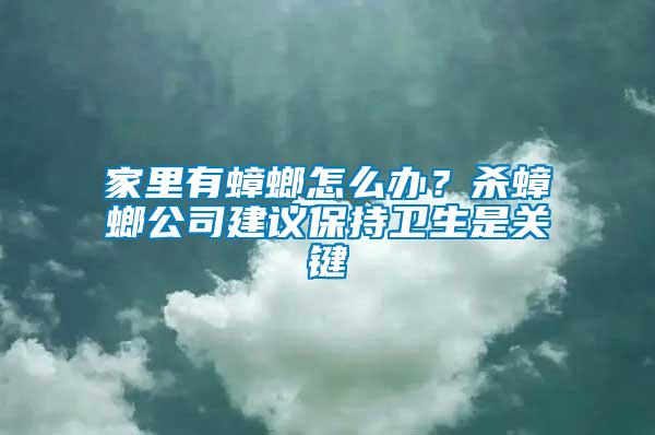 家里有蟑螂怎么辦？殺蟑螂公司建議保持衛(wèi)生是關(guān)鍵