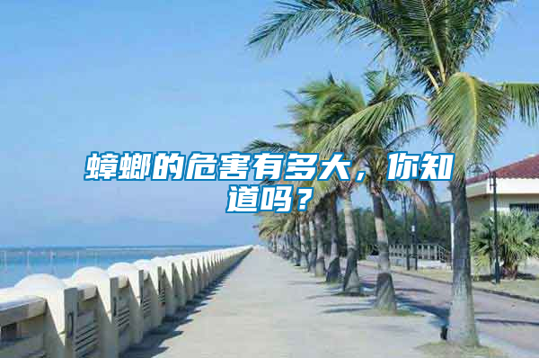 蟑螂的危害有多大，你知道嗎？