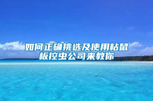 如何正確挑選及使用粘鼠板控蟲公司來教你