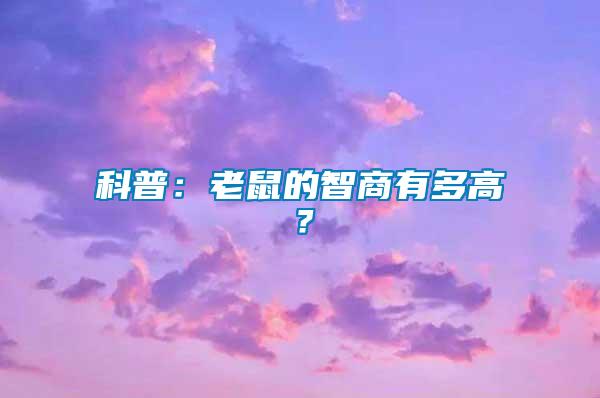 科普：老鼠的智商有多高？