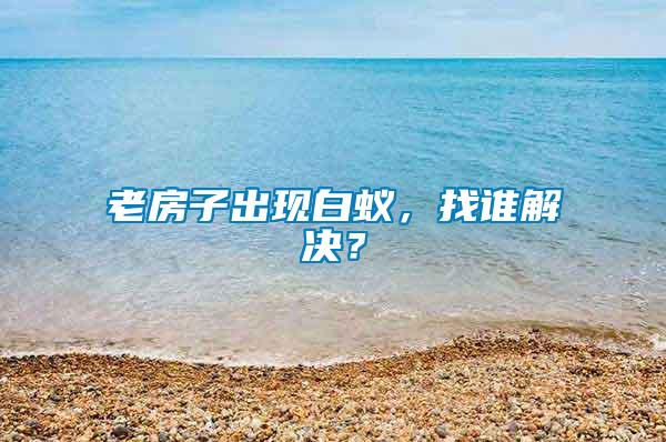 老房子出現(xiàn)白蟻，找誰(shuí)解決？