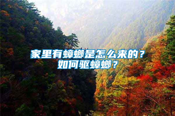 家里有蟑螂是怎么來的？如何驅(qū)蟑螂？