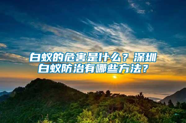 白蟻的危害是什么？深圳白蟻防治有哪些方法？