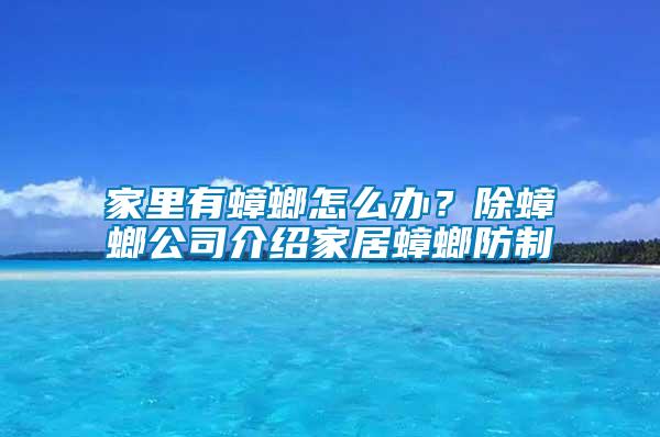 家里有蟑螂怎么辦？除蟑螂公司介紹家居蟑螂防制