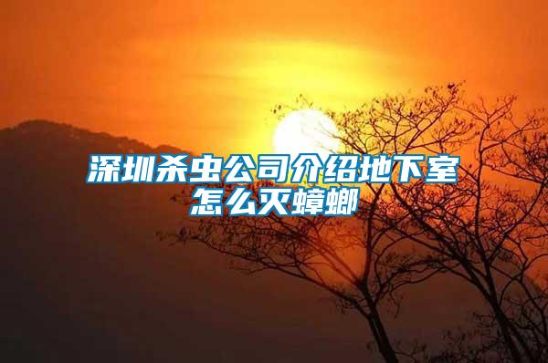 深圳殺蟲公司介紹地下室怎么滅蟑螂