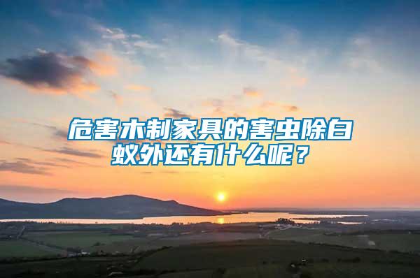 危害木制家具的害蟲除白蟻外還有什么呢？