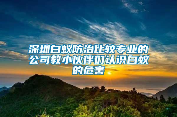 深圳白蟻防治比較專業(yè)的公司教小伙伴們認識白蟻的危害