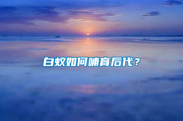 白蟻如何哺育后代？