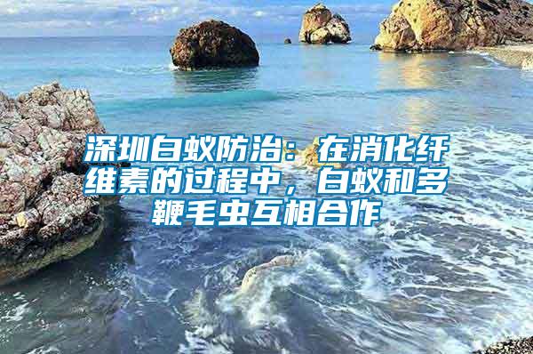 深圳白蟻防治：在消化纖維素的過程中，白蟻和多鞭毛蟲互相合作