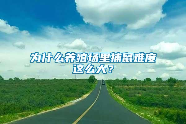 為什么養(yǎng)殖場里捕鼠難度這么大？