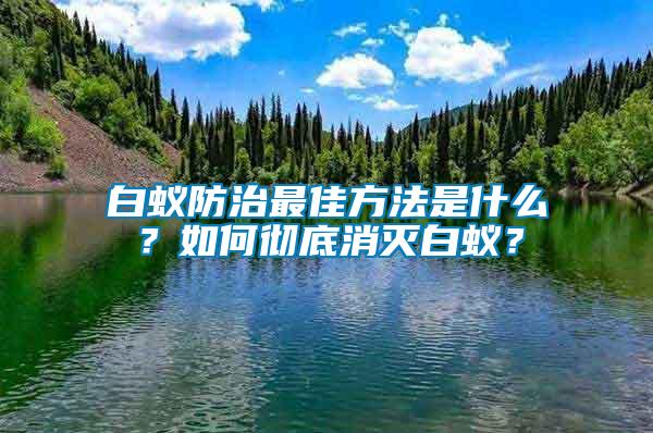 白蟻防治最佳方法是什么？如何徹底消滅白蟻？