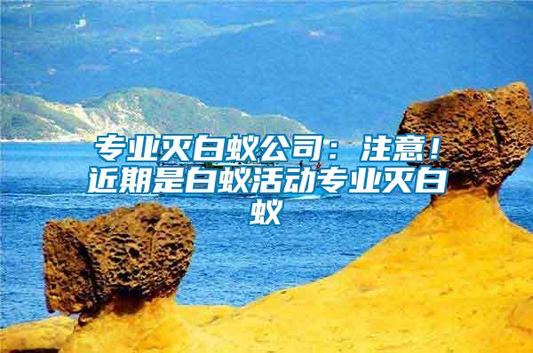 專業(yè)滅白蟻公司：注意！近期是白蟻活動(dòng)專業(yè)滅白蟻