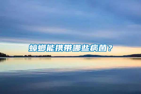 蟑螂能攜帶哪些病菌？