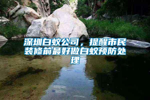 深圳白蟻公司，提醒市民裝修前最好做白蟻預防處理