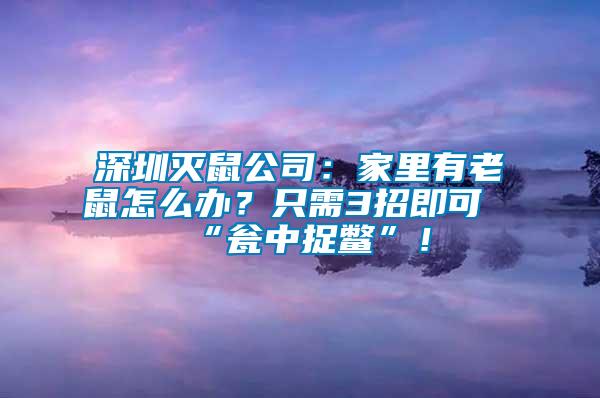 深圳滅鼠公司：家里有老鼠怎么辦？只需3招即可“甕中捉鱉”！