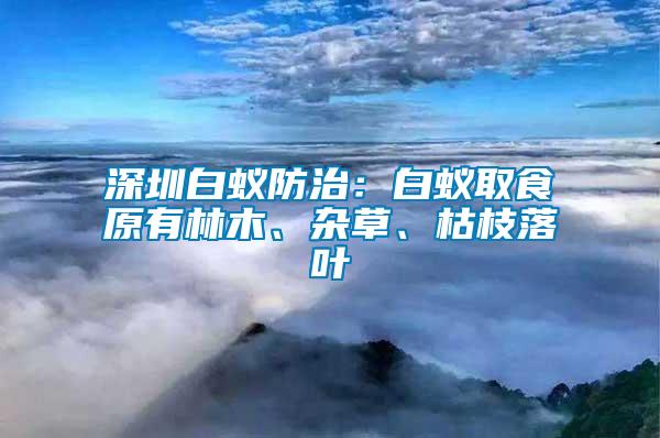 深圳白蟻防治：白蟻取食原有林木、雜草、枯枝落葉