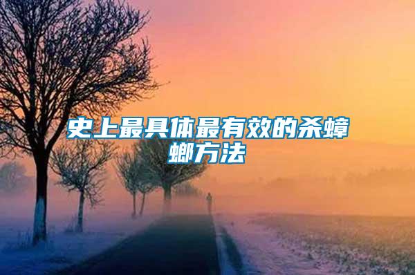 史上最具體最有效的殺蟑螂方法