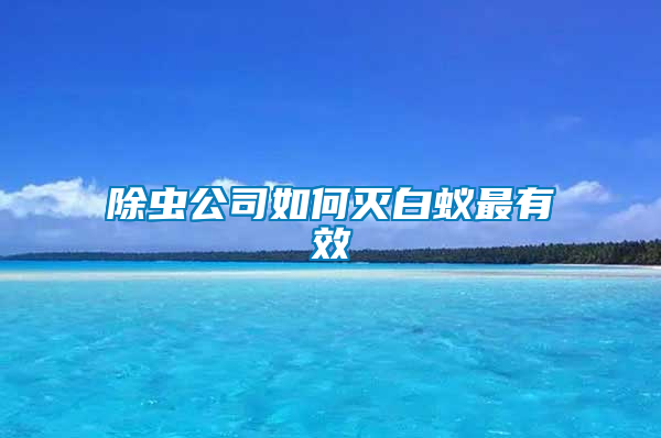 除蟲公司如何滅白蟻最有效