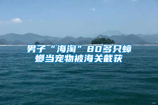 男子“海淘”80多只蟑螂當寵物被海關(guān)截獲